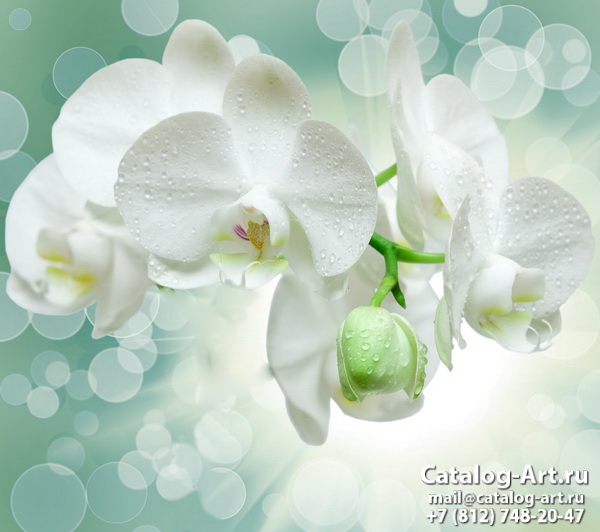 Натяжные потолки с фотопечатью - Белые орхидеи 2